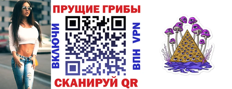 закладка  Вилюйск  Галлюциногенные грибы ЛСД 